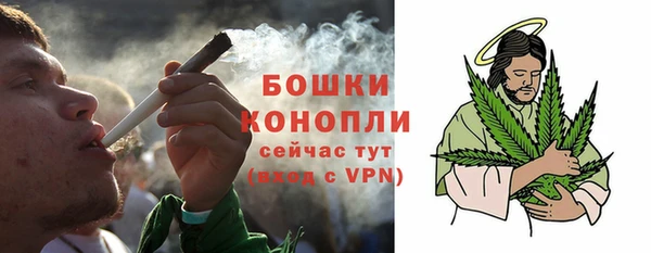 apvp Богданович