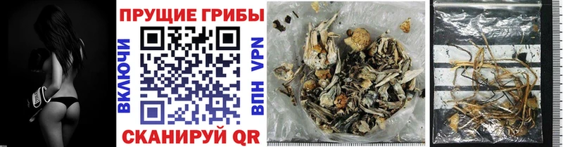 Псилоцибиновые грибы GOLDEN TEACHER  Топки 